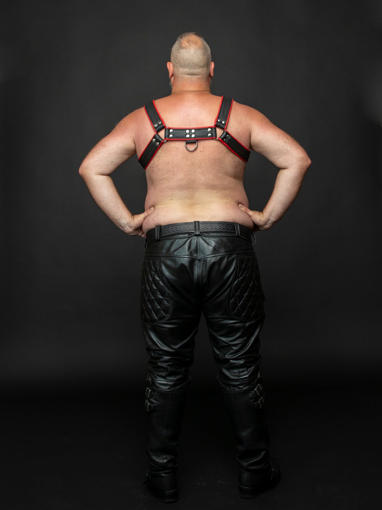 Bear Harness mit Paspel und Schnalle