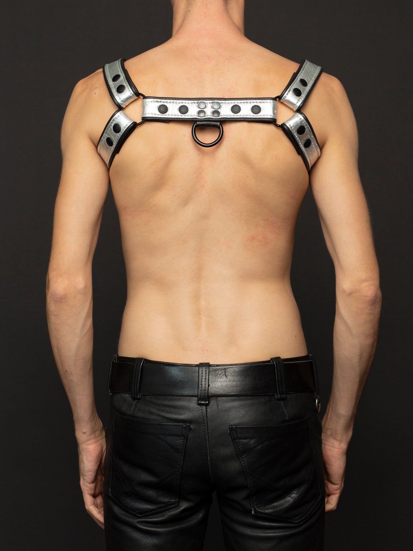 Metallic Harness mit Paspel und Druckknöpfen