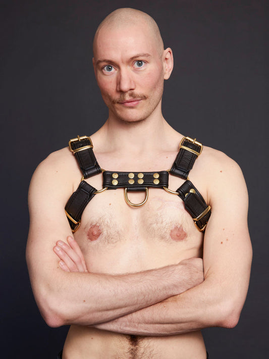 Messing-Harness mit Paspel