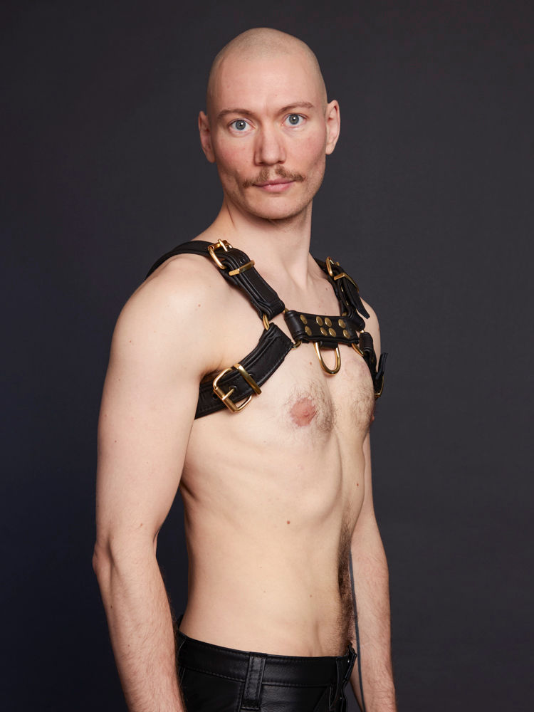 Messing-Harness mit Paspel
