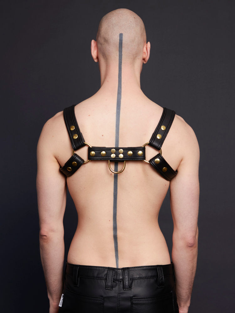 Messing-Harness mit Paspel