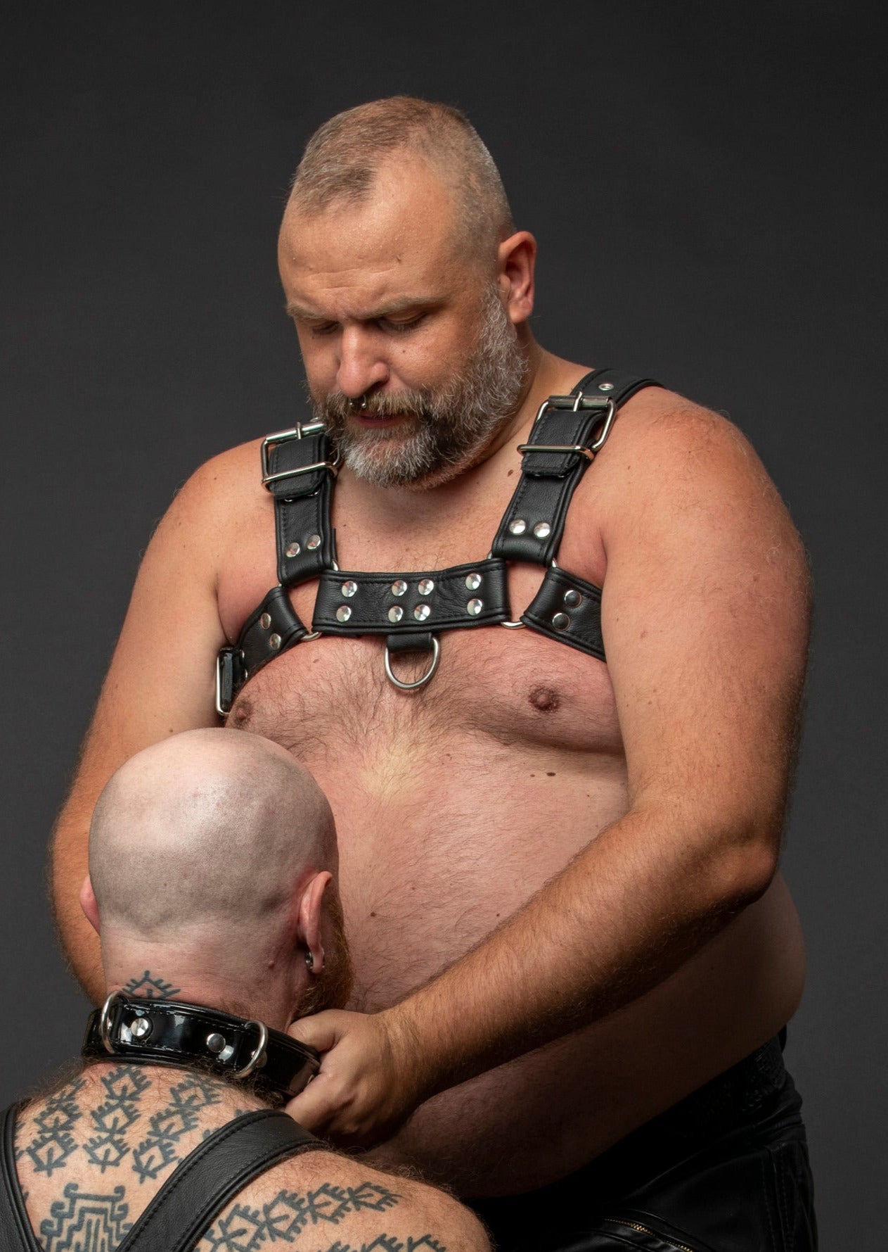 Bear Harness mit Paspel und Schnalle