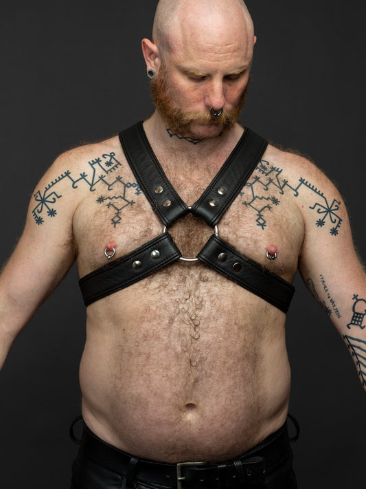Bull Harness X Paspel breite 5 cm
