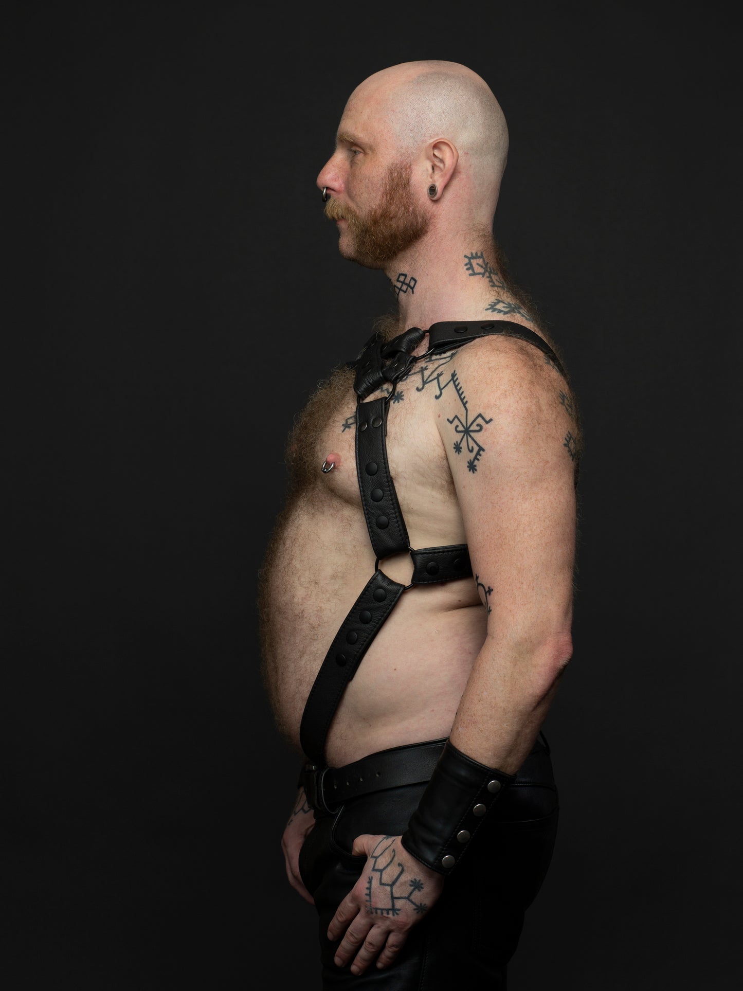 Harness 2 Farben X vorne mit Ring