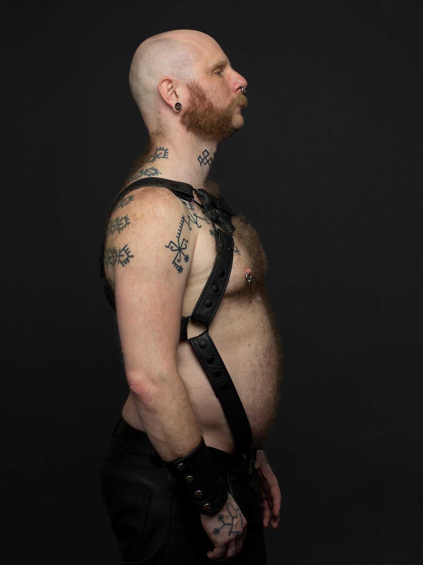 Harness 2 Farben X vorne mit Ring