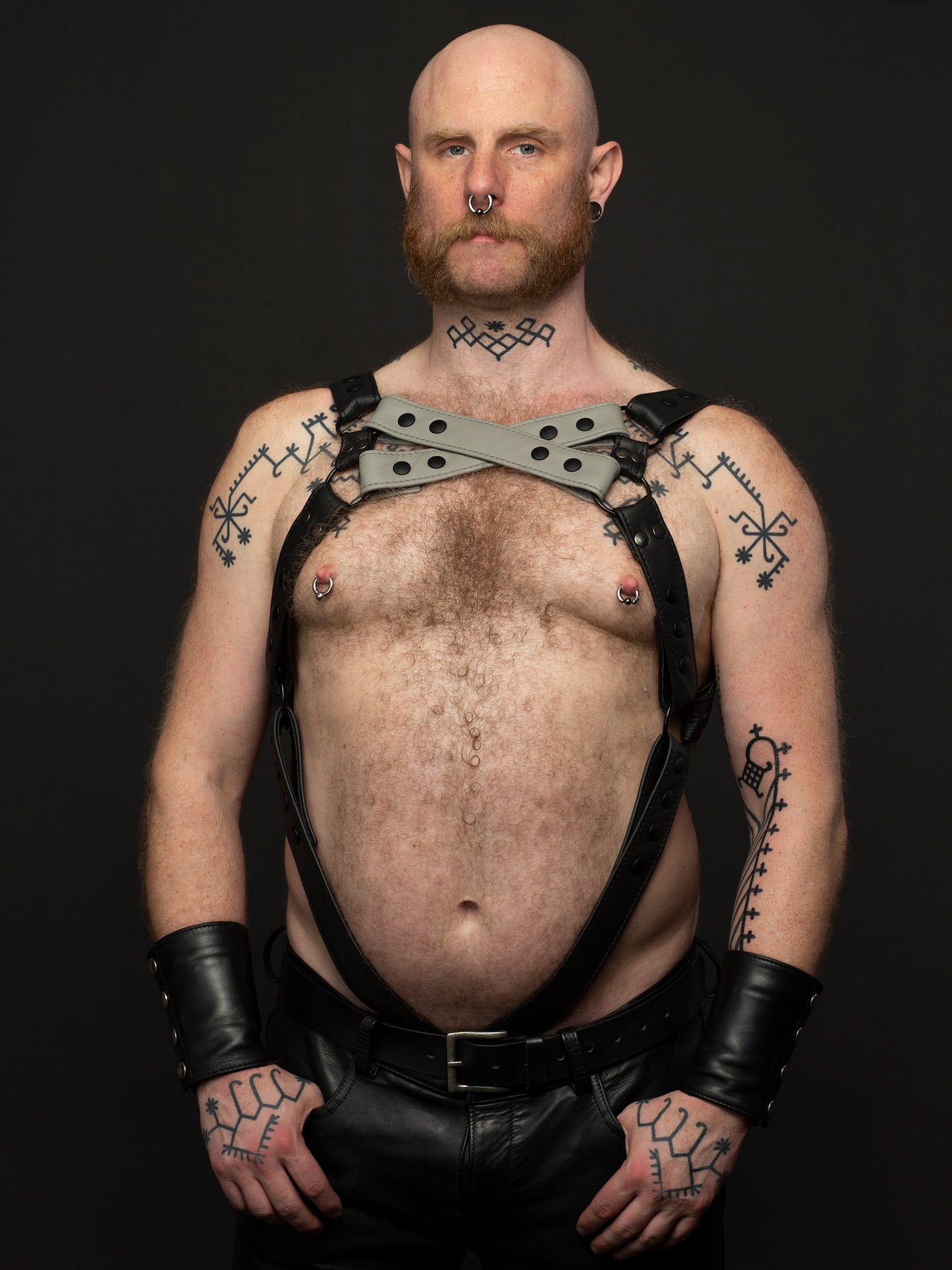 Harness 2 Farben X vorne mit Ring