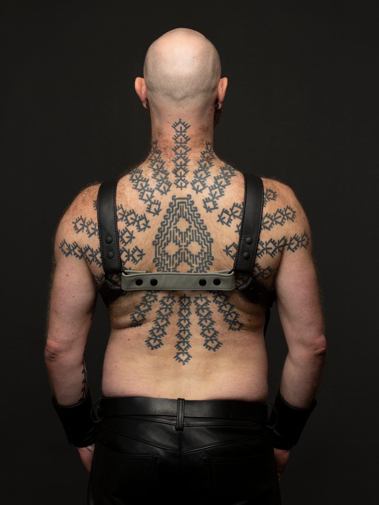Harness 2 Farben X vorne mit Ring