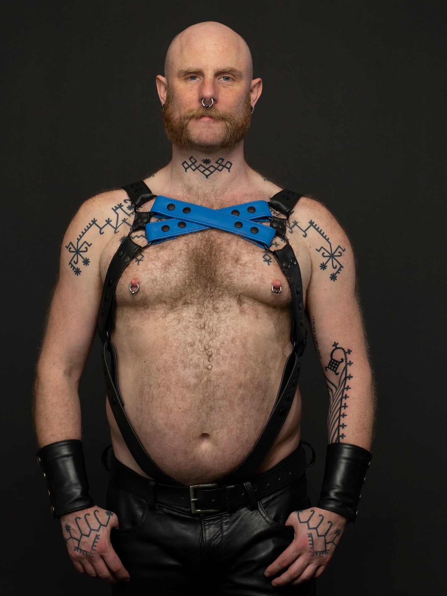 Harness 2 Farben X vorne mit Ring