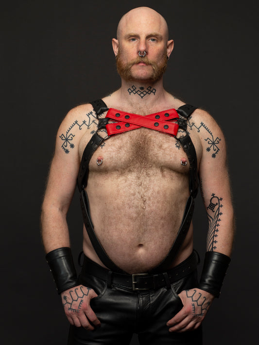 Harness 2 Farben X vorne mit Ring