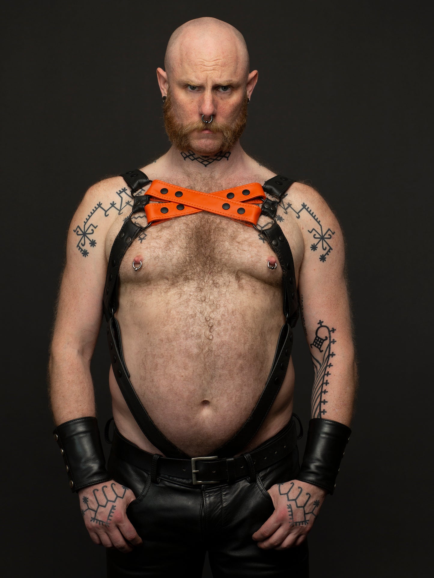 Harness 2 Farben X vorne mit Ring