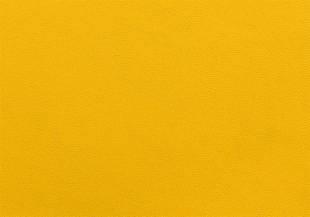 Bull Harness X Paspel breite 5 cm