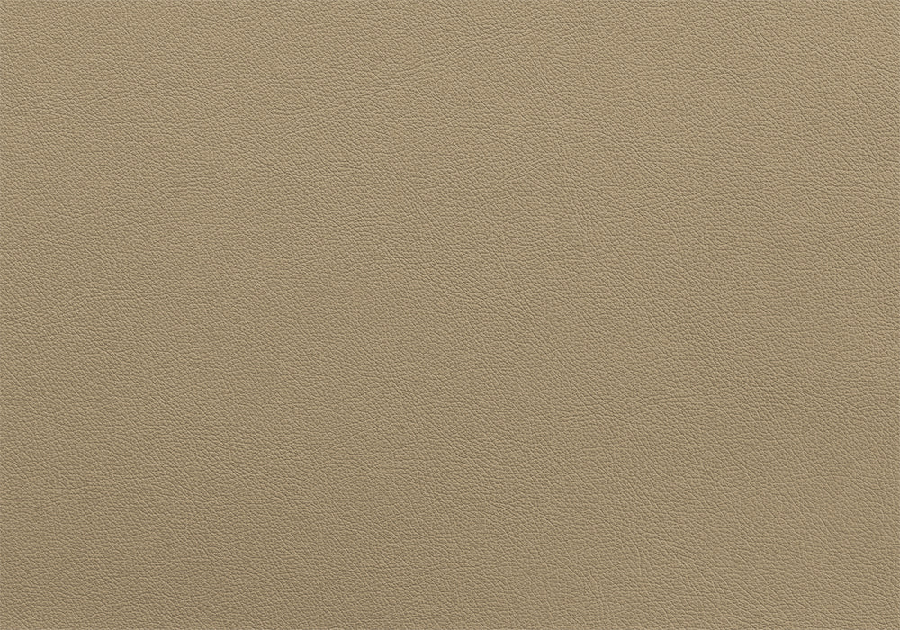 Bull Harness X Paspel breite 5 cm