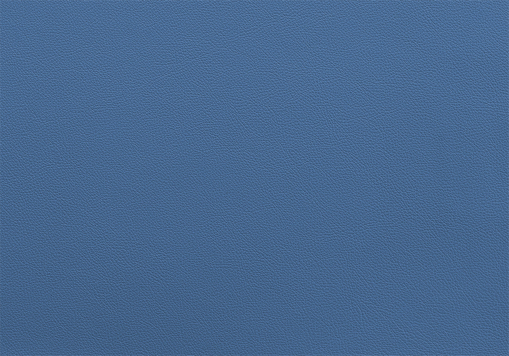 Bull Harness X Paspel breite 5 cm