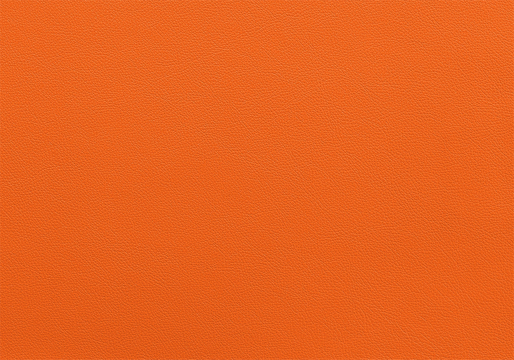 Bull Harness X Paspel breite 5 cm