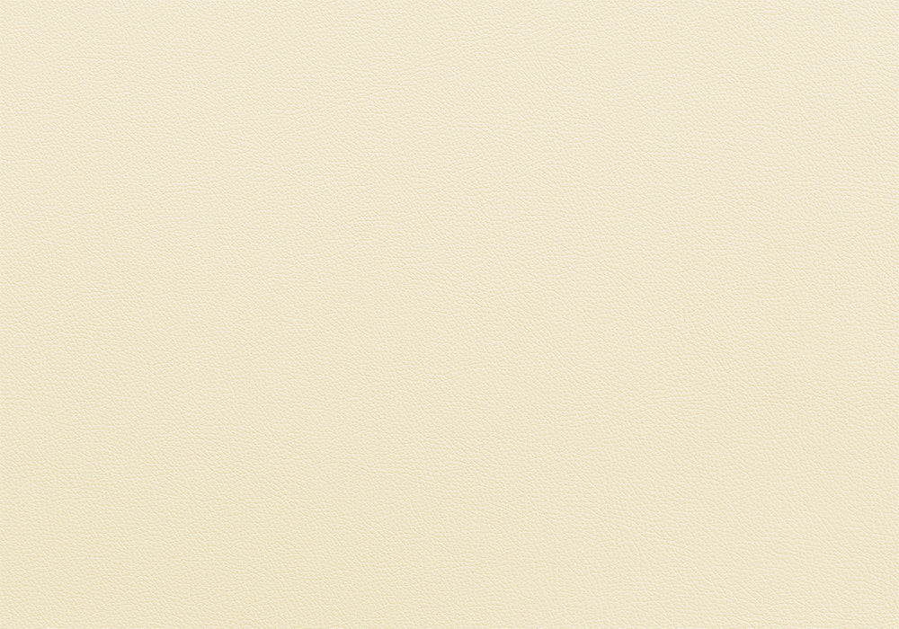 Bull Harness X Paspel breite 5 cm