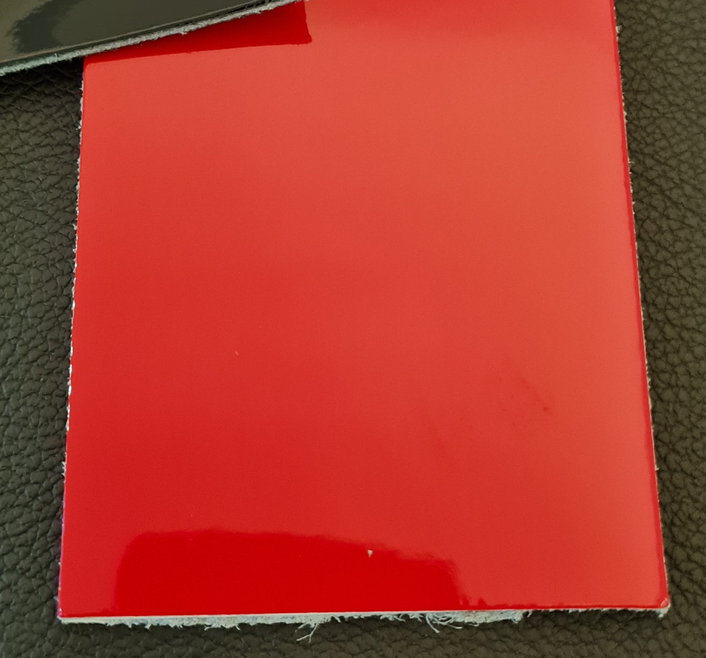 Lack Harness mit Paspel und Druckknöpfen