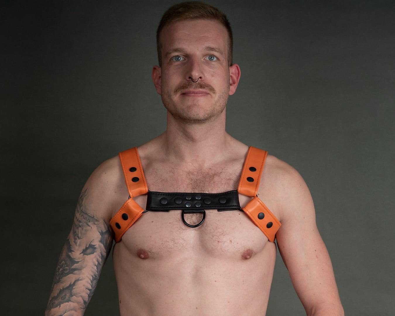 Harness zweifarbig