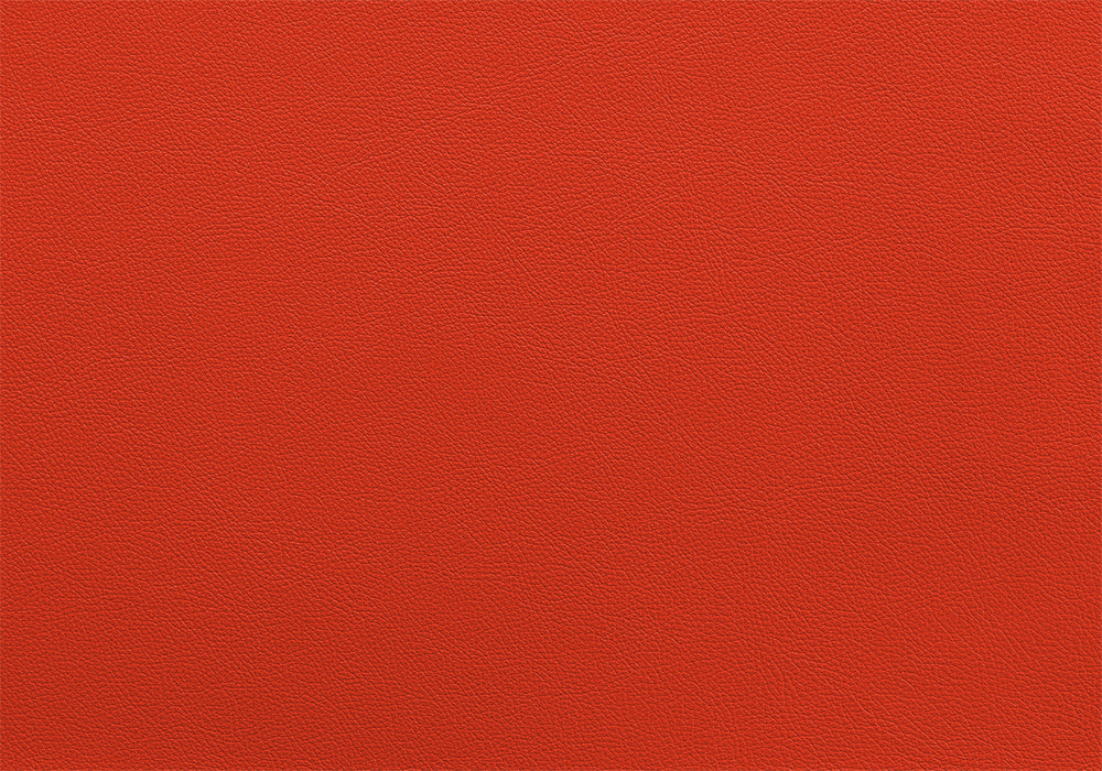 Bull Harness X Paspel breite 5 cm