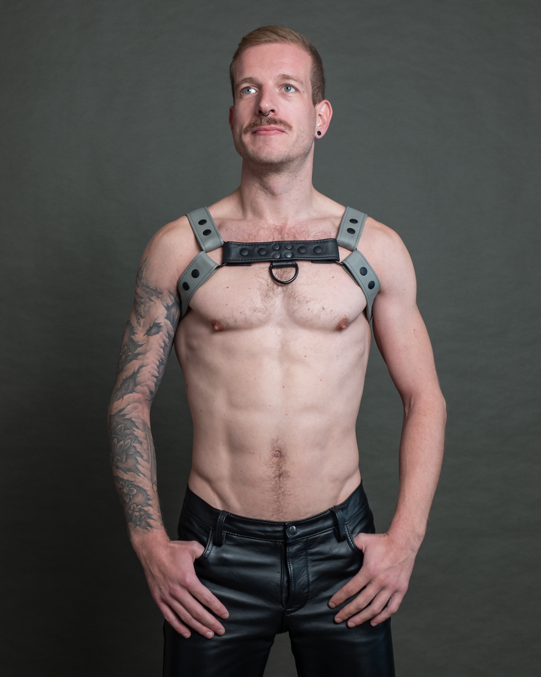 Harness zweifarbig