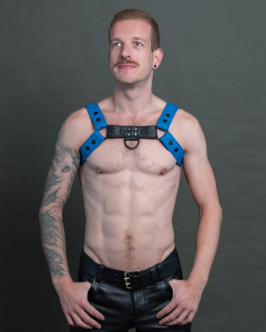 Harness zweifarbig