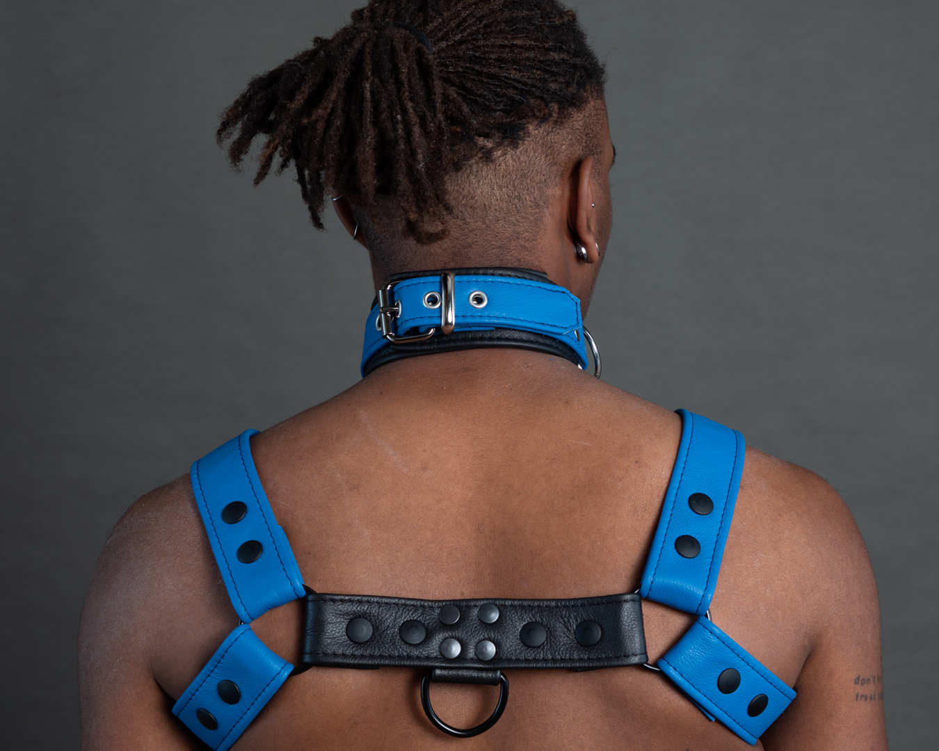 Halsband zweifarbig