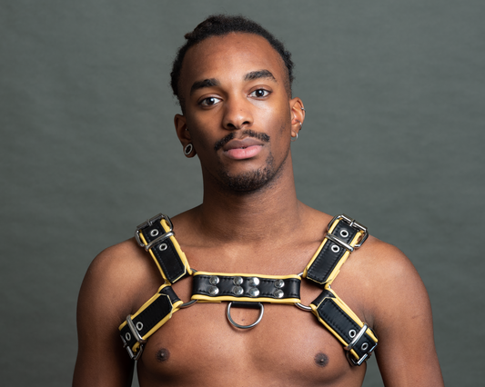 Harness mit Paspel und Schnalle