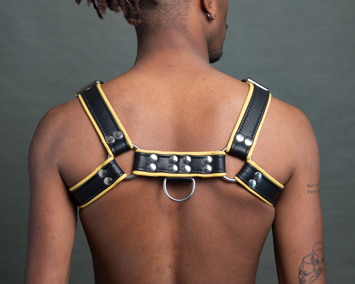 Harness mit Paspel und Schnalle