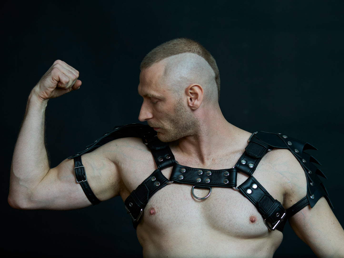 Big Gladiator Harness