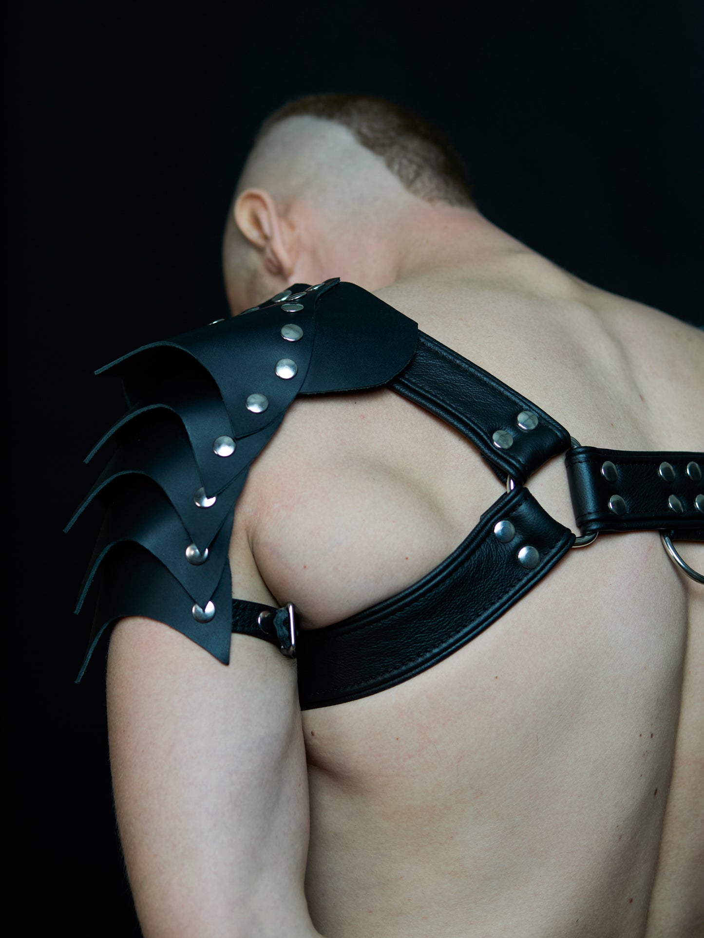 Big Gladiator Harness