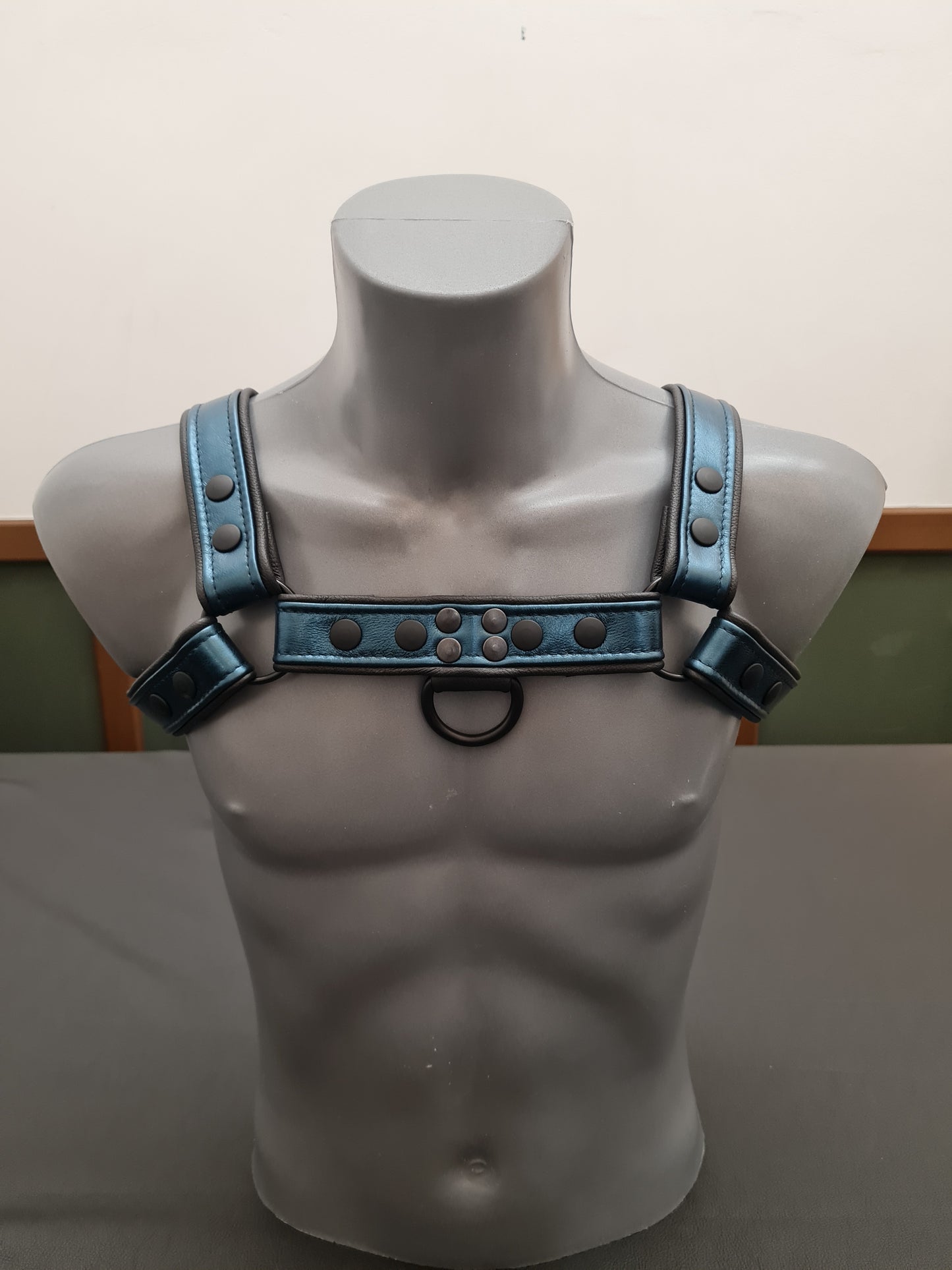 Metallic Harness mit Paspel und Druckknöpfen