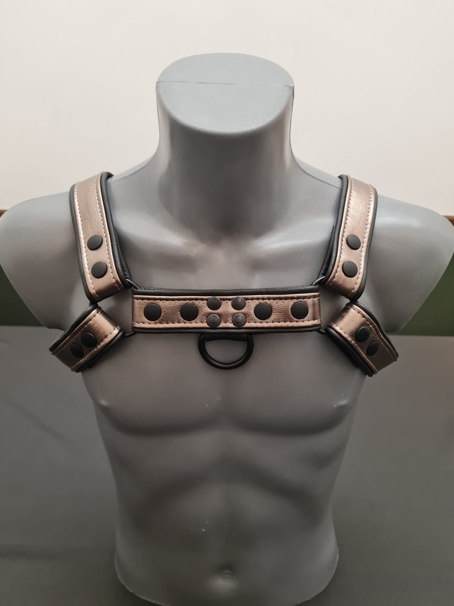 Metallic Harness mit Paspel und Druckknöpfen